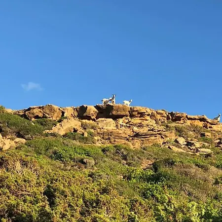 La Casetta - Nei Pressi Del Mare Arbus